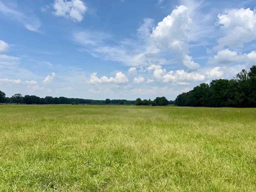Photo 18 — 110 Ferguson Road, Haworth, OK 74740