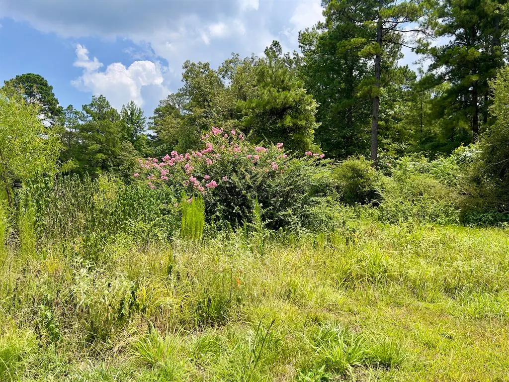 Photo 19 — 110 Ferguson Road, Haworth, OK 74740