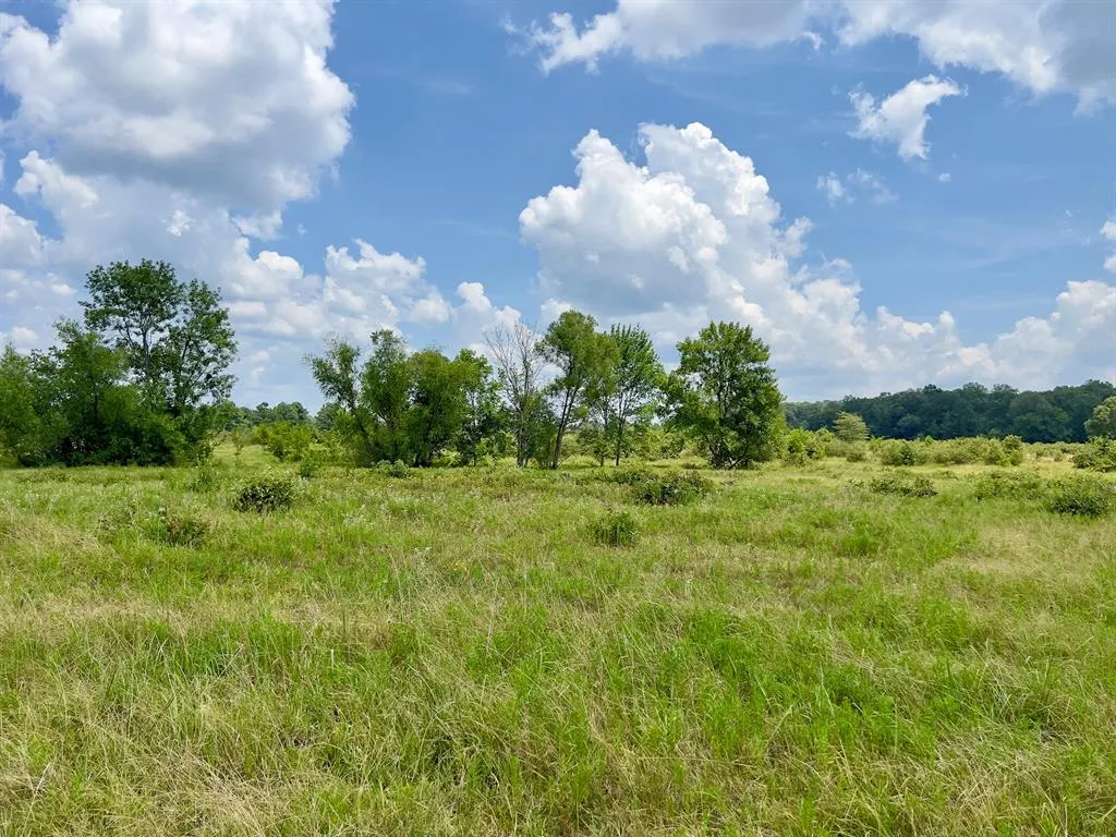 Photo 20 — 110 Ferguson Road, Haworth, OK 74740