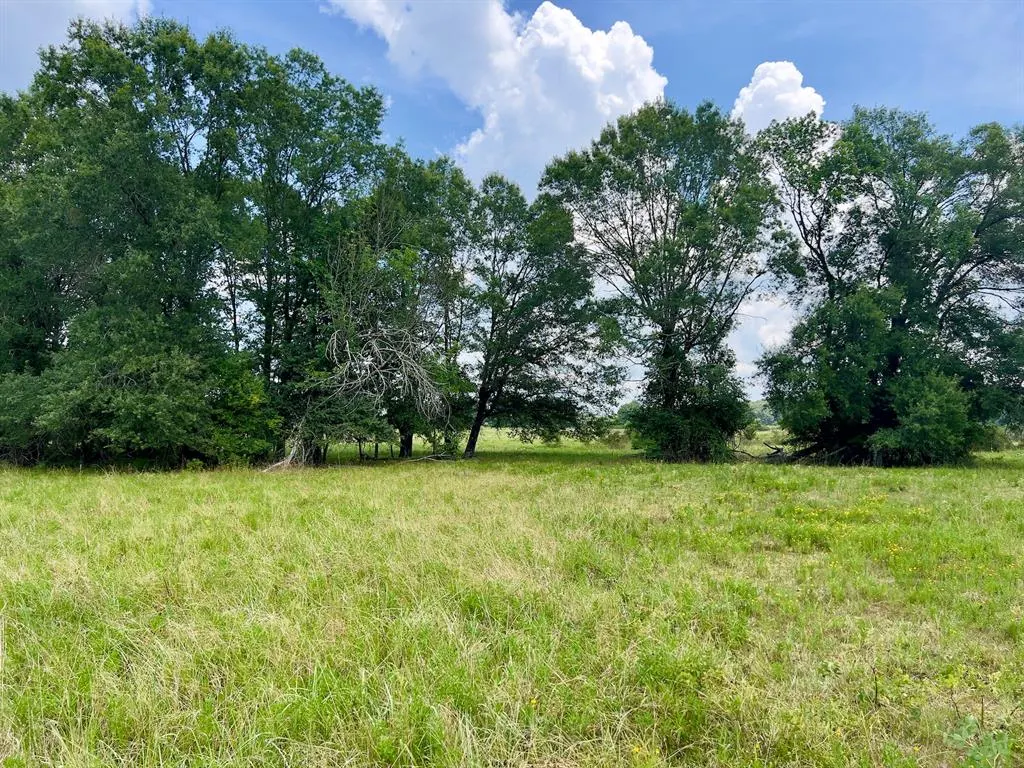 Photo 21 — 110 Ferguson Road, Haworth, OK 74740