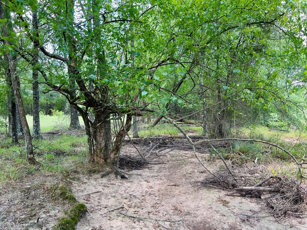Photo 22 — 110 Ferguson Road, Haworth, OK 74740