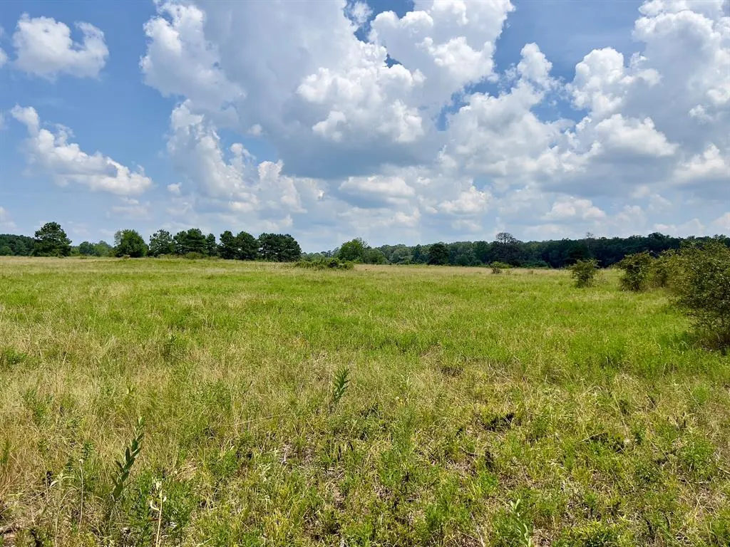 Photo 24 — 110 Ferguson Road, Haworth, OK 74740
