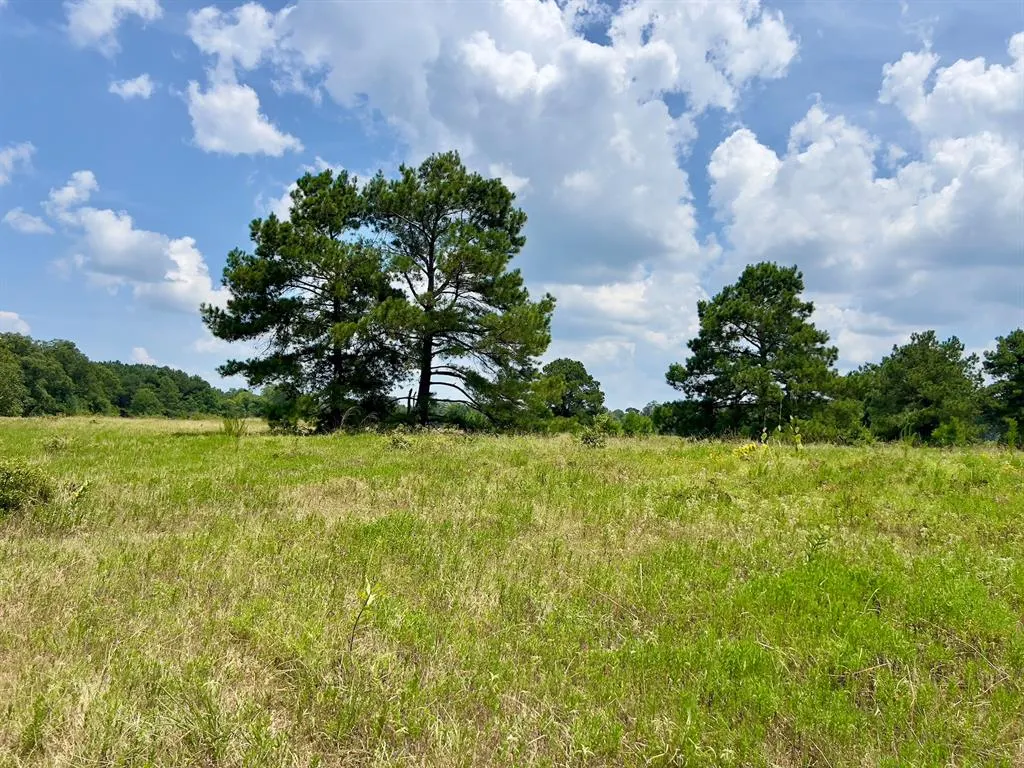 Photo 26 — 110 Ferguson Road, Haworth, OK 74740