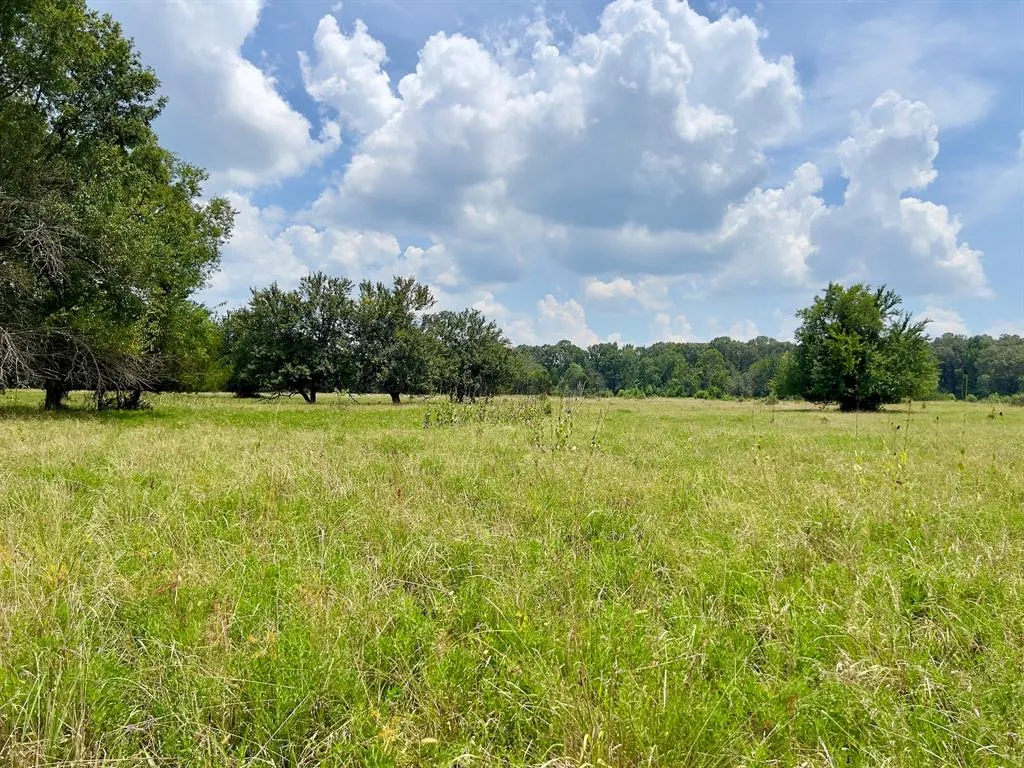 Photo 27 — 110 Ferguson Road, Haworth, OK 74740