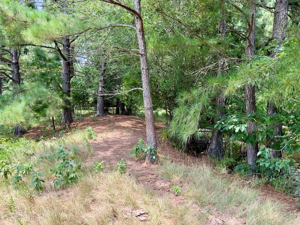 Photo 28 — 110 Ferguson Road, Haworth, OK 74740