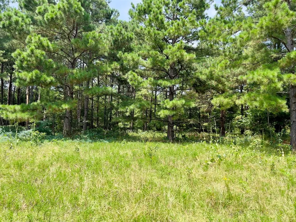 Photo 29 — 110 Ferguson Road, Haworth, OK 74740