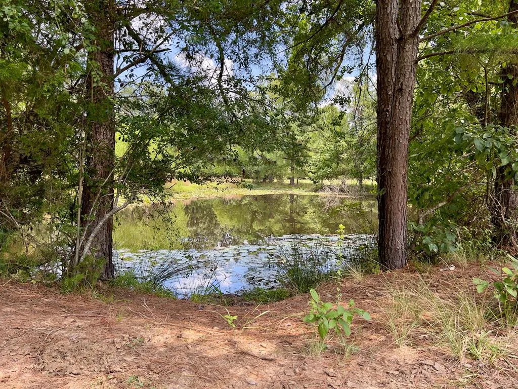 Photo 30 — 110 Ferguson Road, Haworth, OK 74740