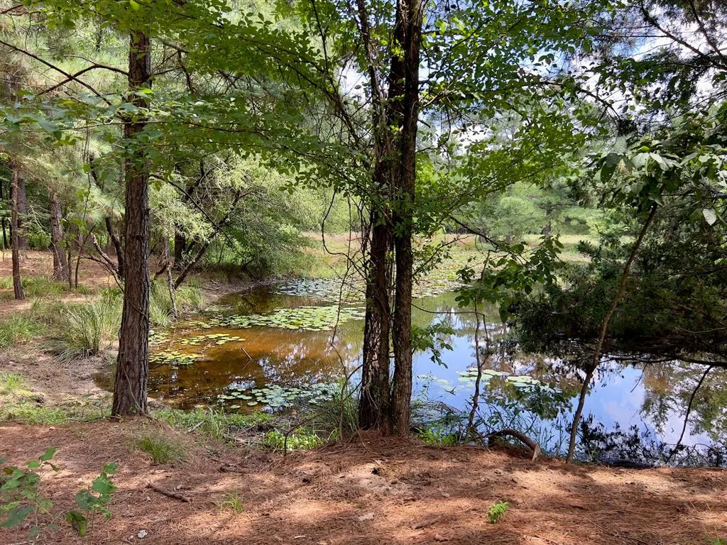 Photo 31 — 110 Ferguson Road, Haworth, OK 74740