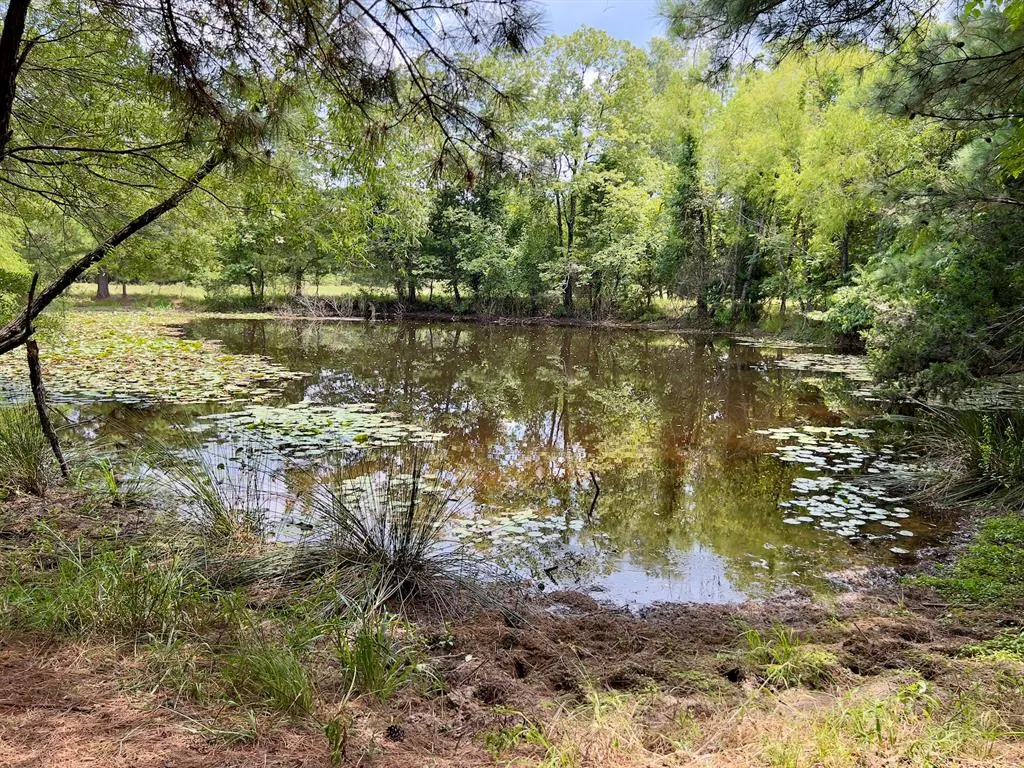 Photo 33 — 110 Ferguson Road, Haworth, OK 74740