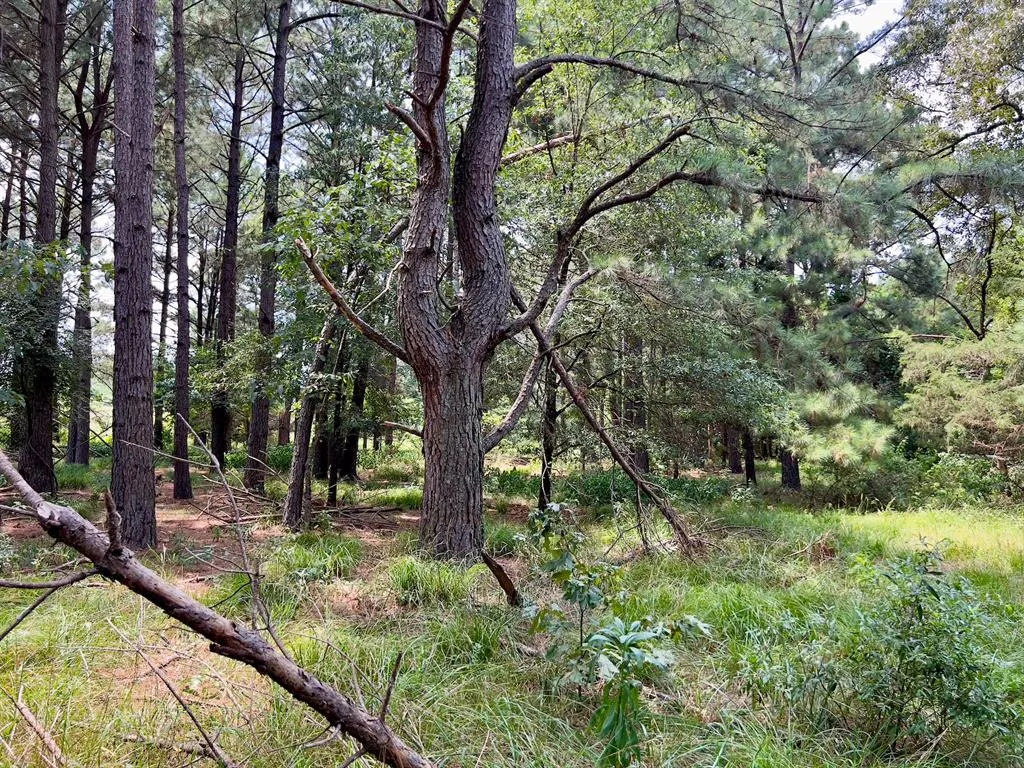 Photo 34 — 110 Ferguson Road, Haworth, OK 74740
