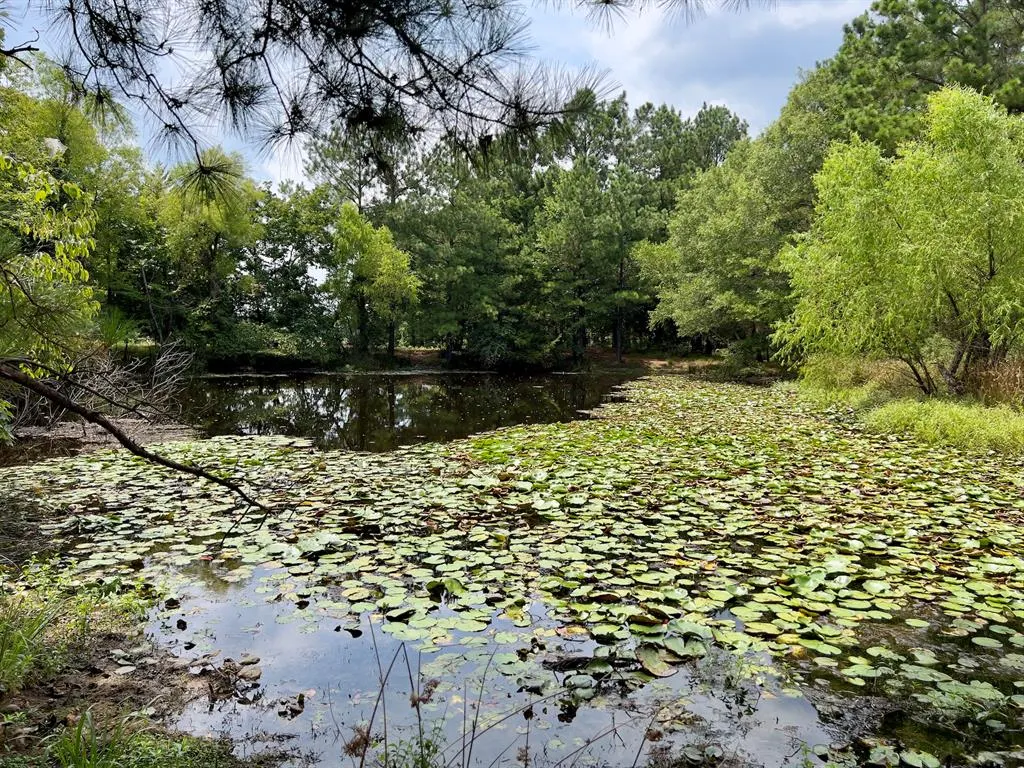 Photo 35 — 110 Ferguson Road, Haworth, OK 74740