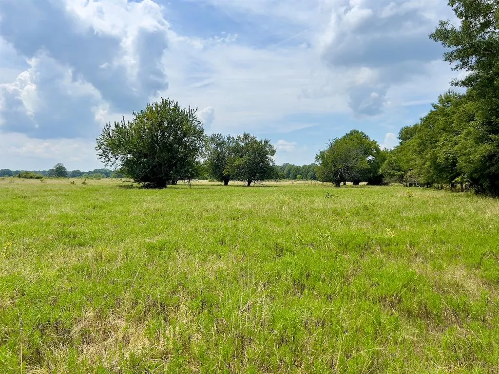 Photo 36 — 110 Ferguson Road, Haworth, OK 74740