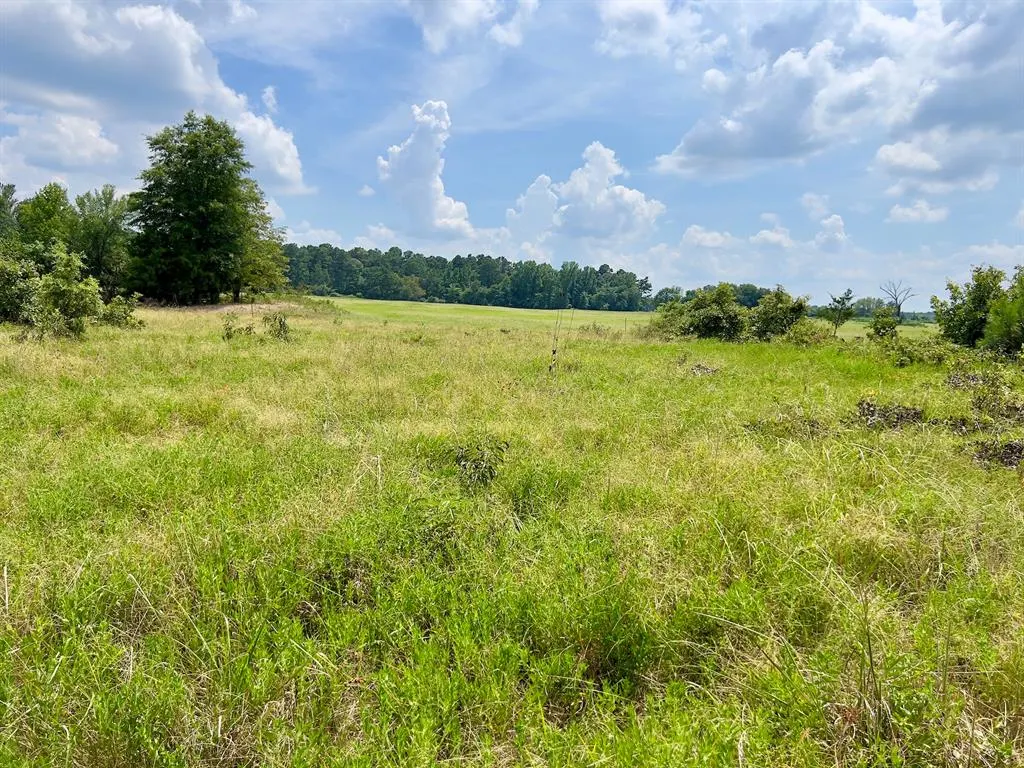 Photo 37 — 110 Ferguson Road, Haworth, OK 74740