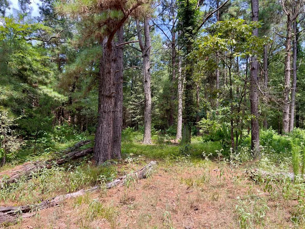 Photo 38 — 110 Ferguson Road, Haworth, OK 74740