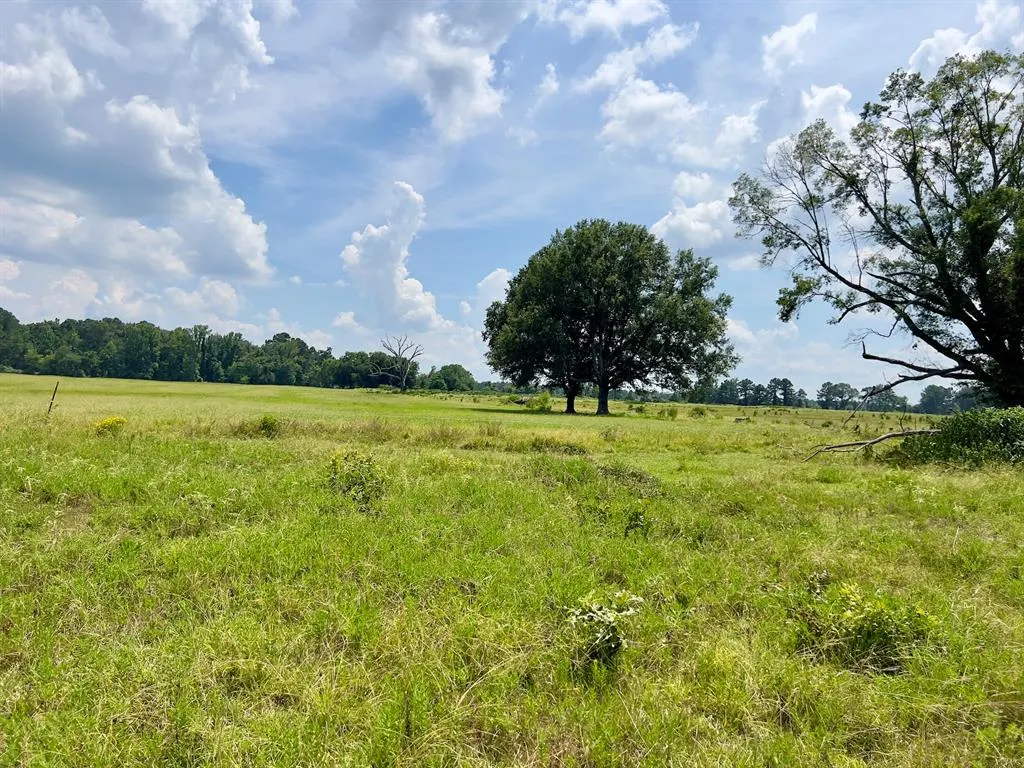 Photo 39 — 110 Ferguson Road, Haworth, OK 74740