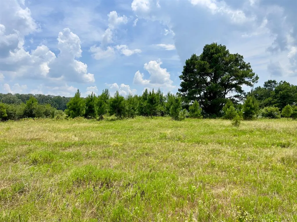 Photo 41 — 110 Ferguson Road, Haworth, OK 74740