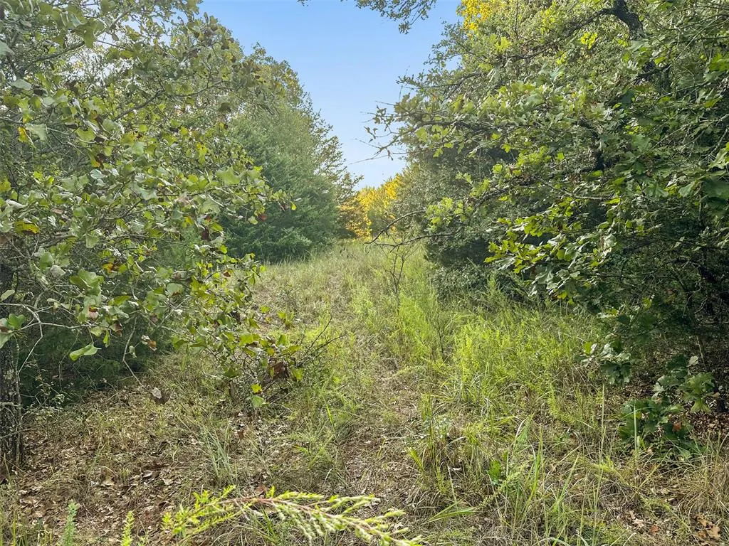 Photo 31 — 000 Anderson Road, Macomb, OK 74852