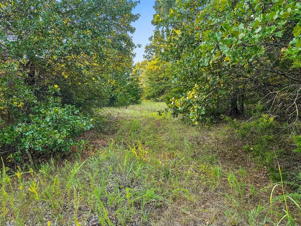 Photo 34 — 000 Anderson Road, Macomb, OK 74852