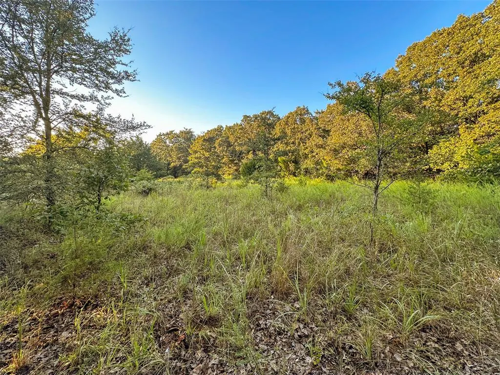 Photo 37 — 000 Anderson Road, Macomb, OK 74852