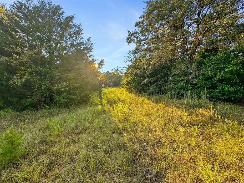 Photo 38 — 000 Anderson Road, Macomb, OK 74852