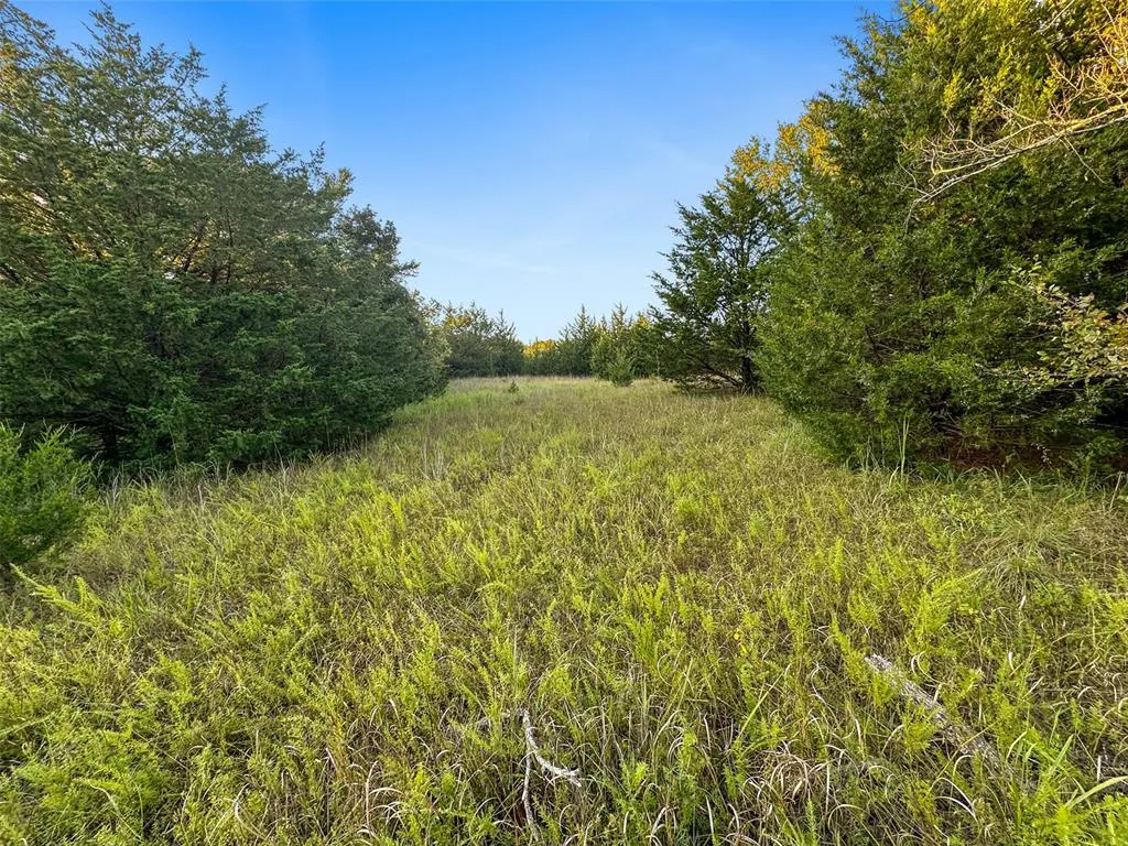Photo 39 — 000 Anderson Road, Macomb, OK 74852