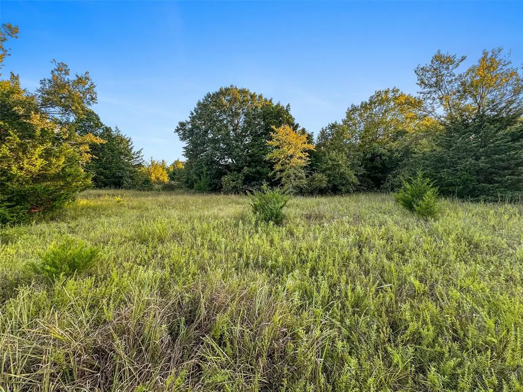 Photo 40 — 000 Anderson Road, Macomb, OK 74852