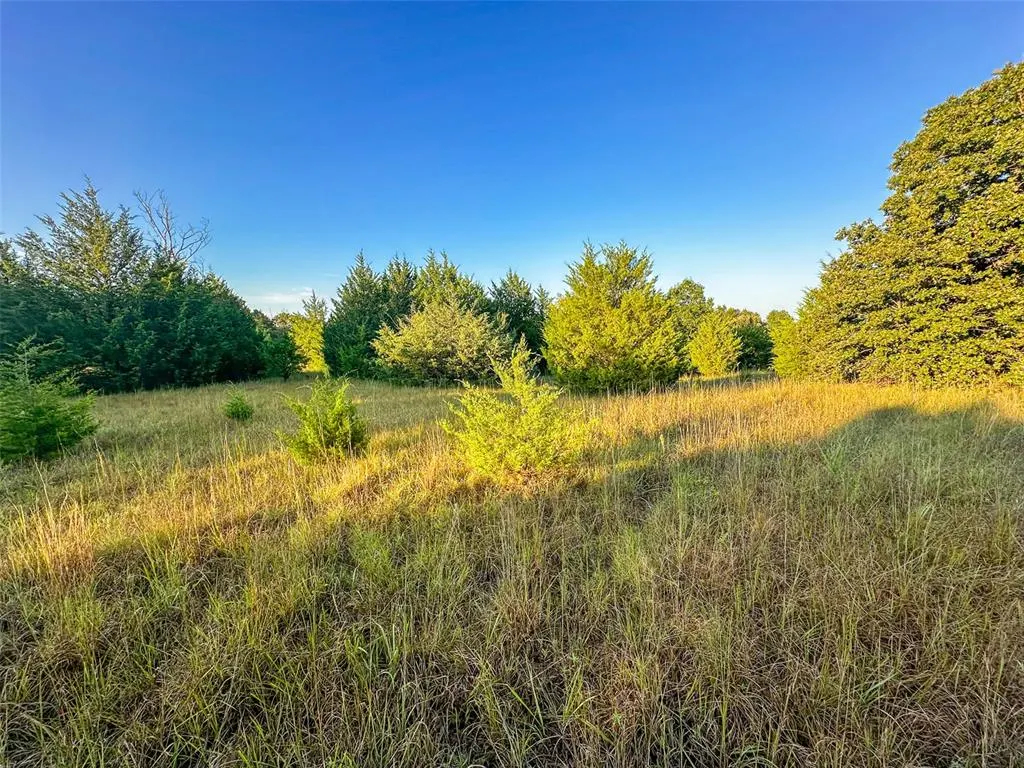 Photo 41 — 000 Anderson Road, Macomb, OK 74852