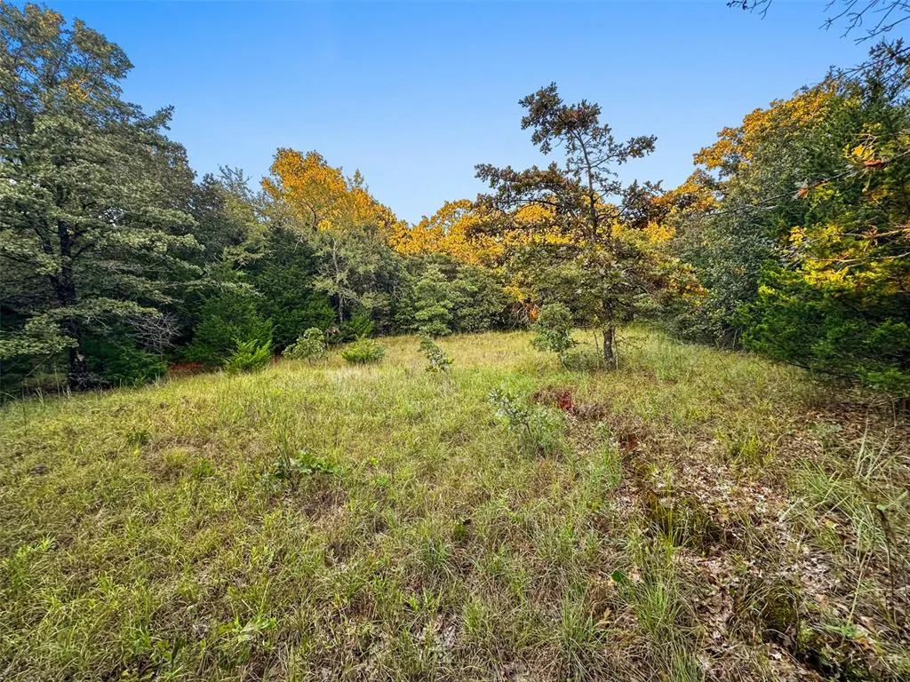 Photo 44 — 000 Anderson Road, Macomb, OK 74852