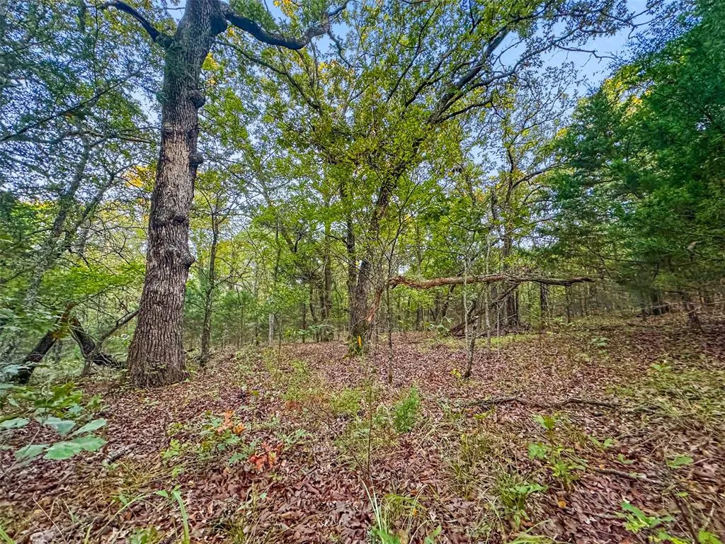 Photo 45 — 000 Anderson Road, Macomb, OK 74852