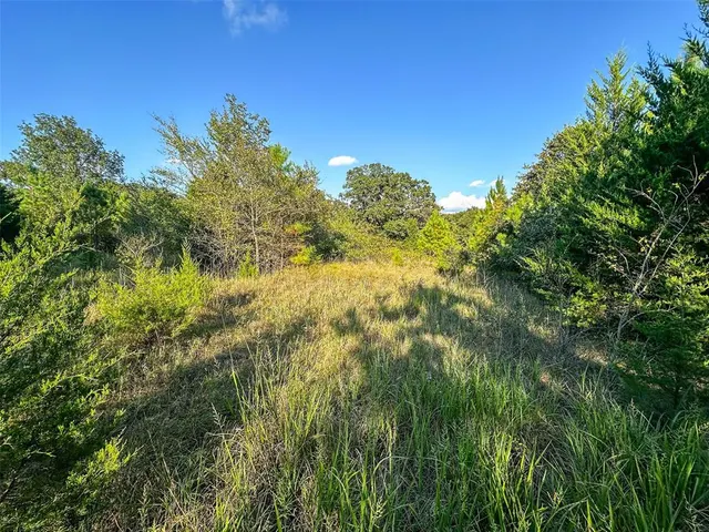 Photo 8 — 000 Sing Road, Macomb, OK 74852