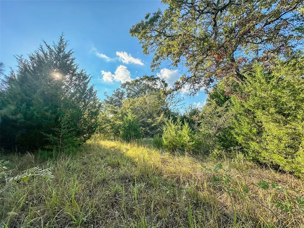 Photo 9 — 000 Sing Road, Macomb, OK 74852