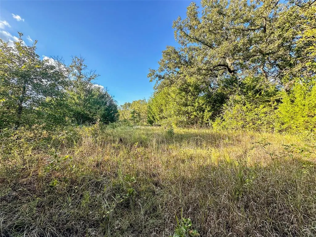Photo 10 — 000 Sing Road, Macomb, OK 74852