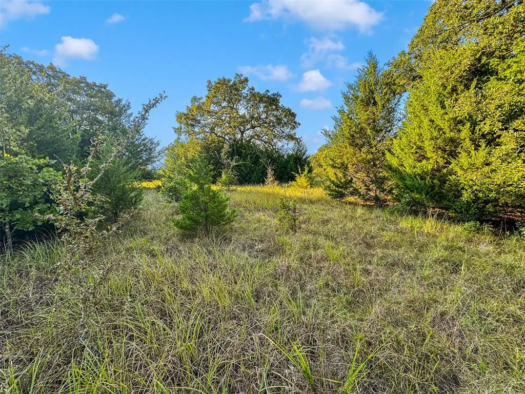Photo 11 — 000 Sing Road, Macomb, OK 74852