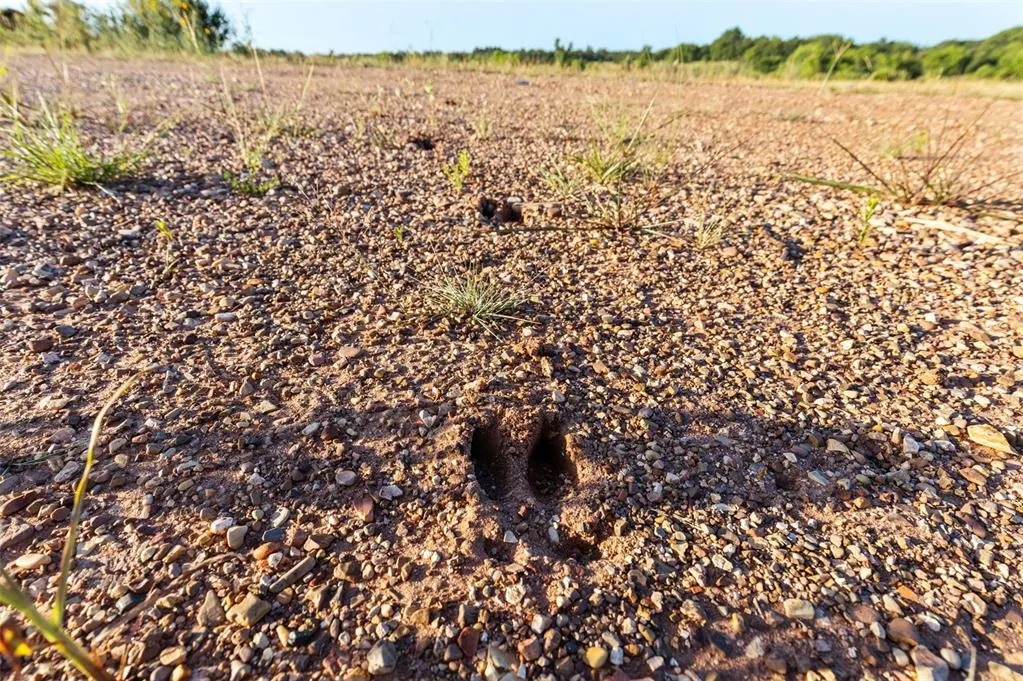 Photo 36 — 000 Tooley Road, Asher, OK 74826