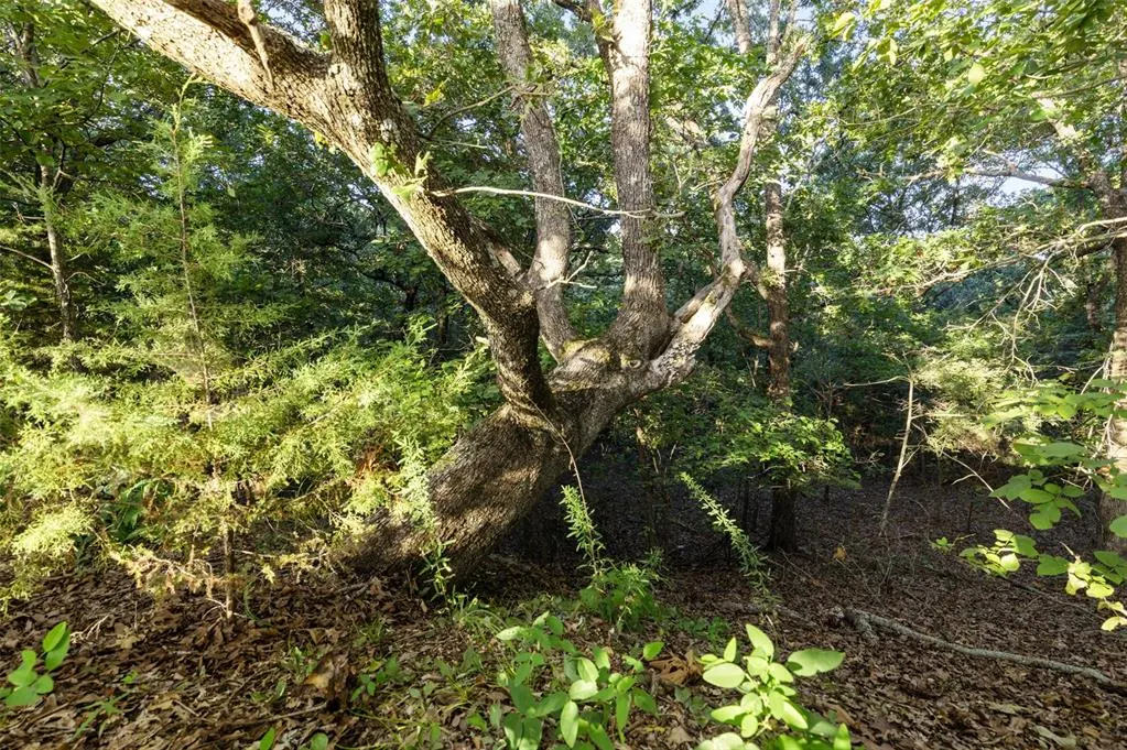 Photo 39 — 000 Tooley Road, Asher, OK 74826