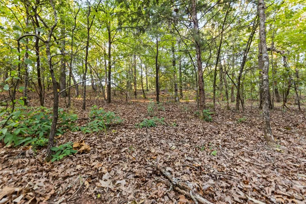 Photo 41 — 000 Tooley Road, Asher, OK 74826