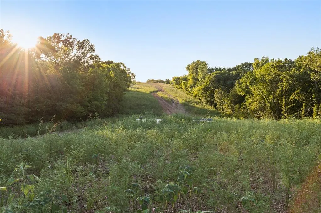 Photo 43 — 000 Tooley Road, Asher, OK 74826