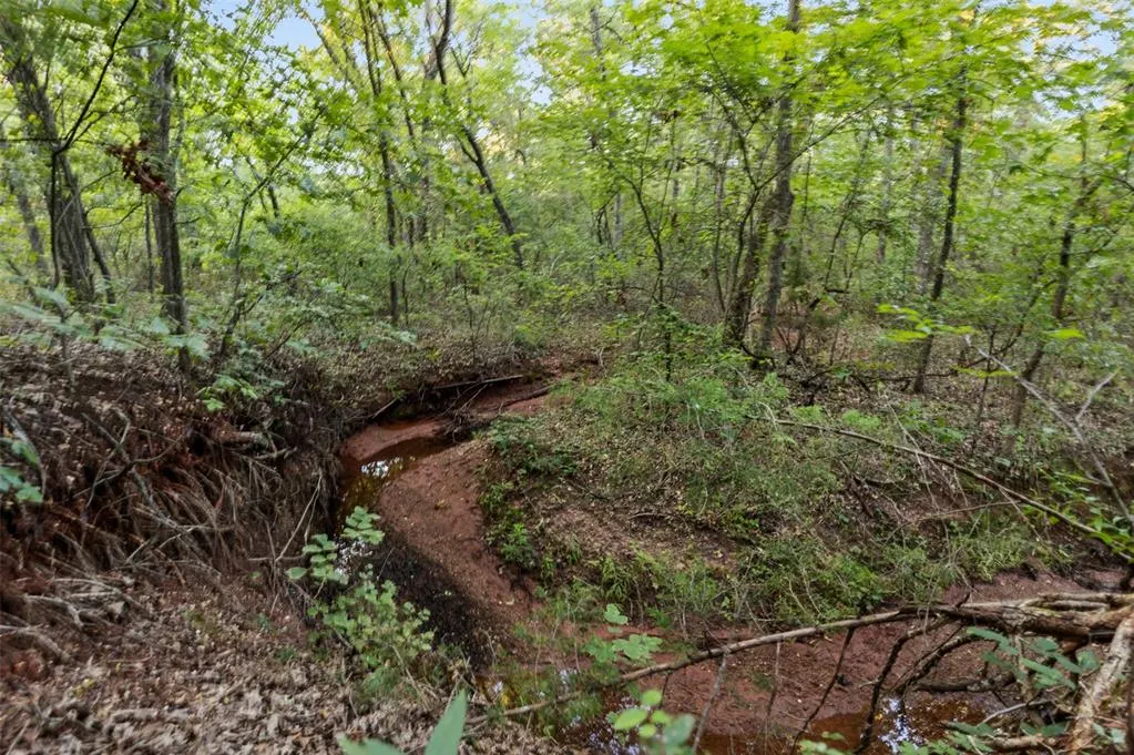 Photo 44 — 000 Tooley Road, Asher, OK 74826