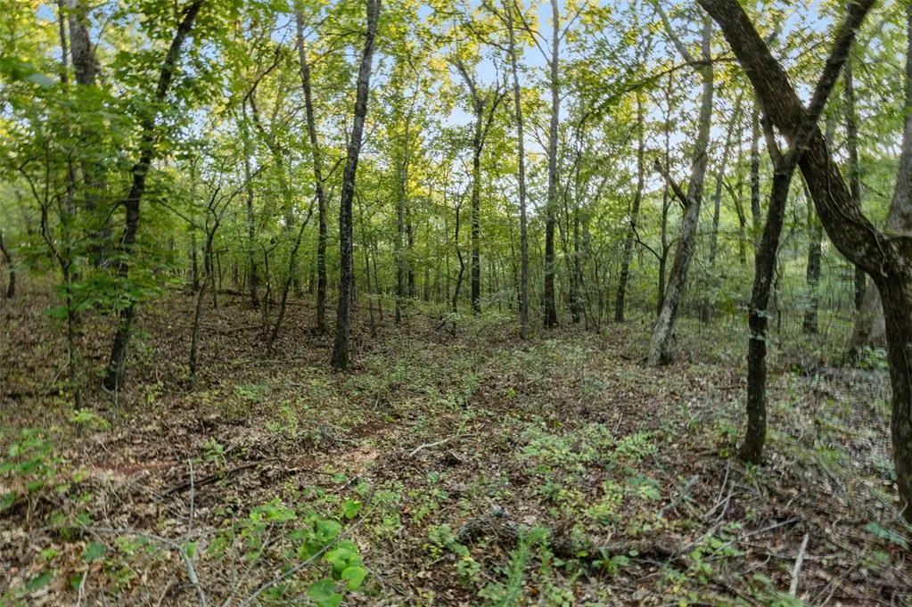 Photo 45 — 000 Tooley Road, Asher, OK 74826
