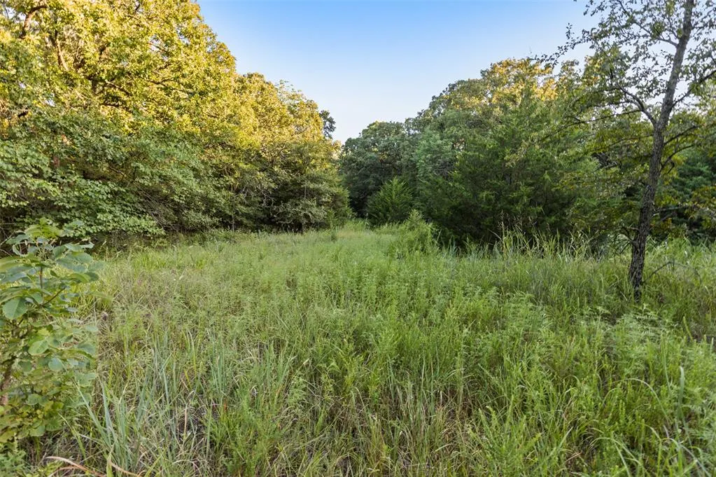 Photo 46 — 000 Tooley Road, Asher, OK 74826