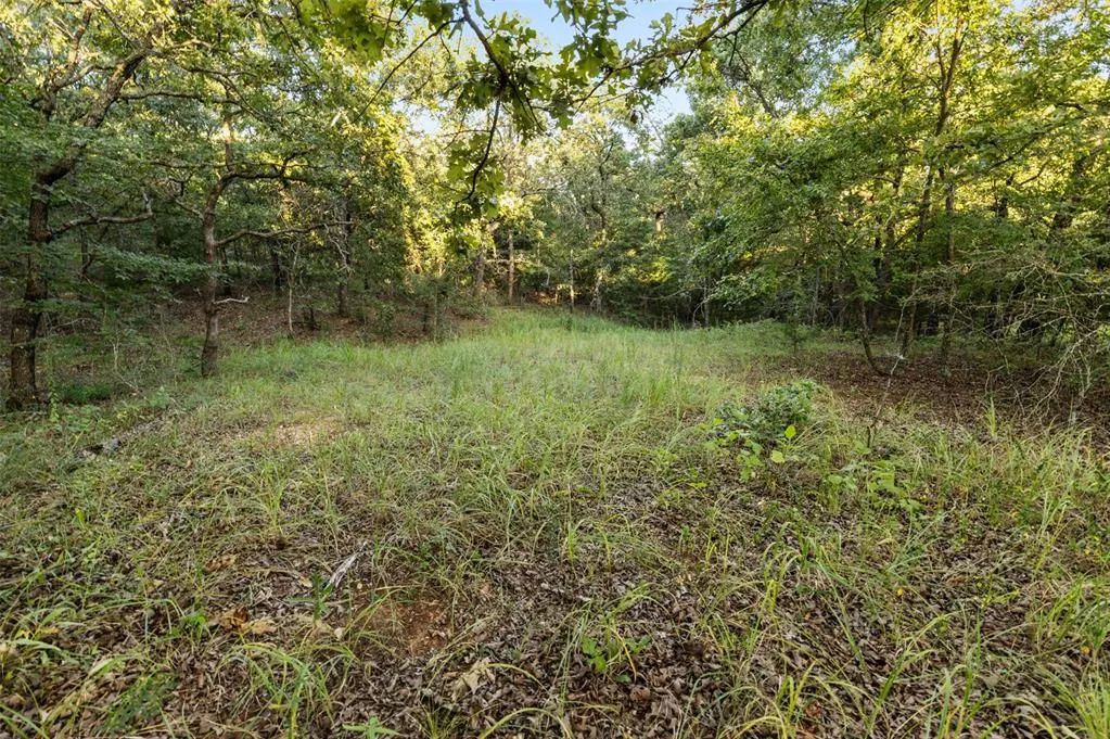Photo 47 — 000 Tooley Road, Asher, OK 74826
