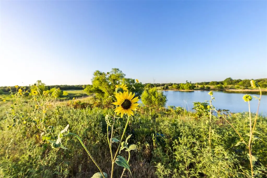 Photo 48 — 000 Tooley Road, Asher, OK 74826