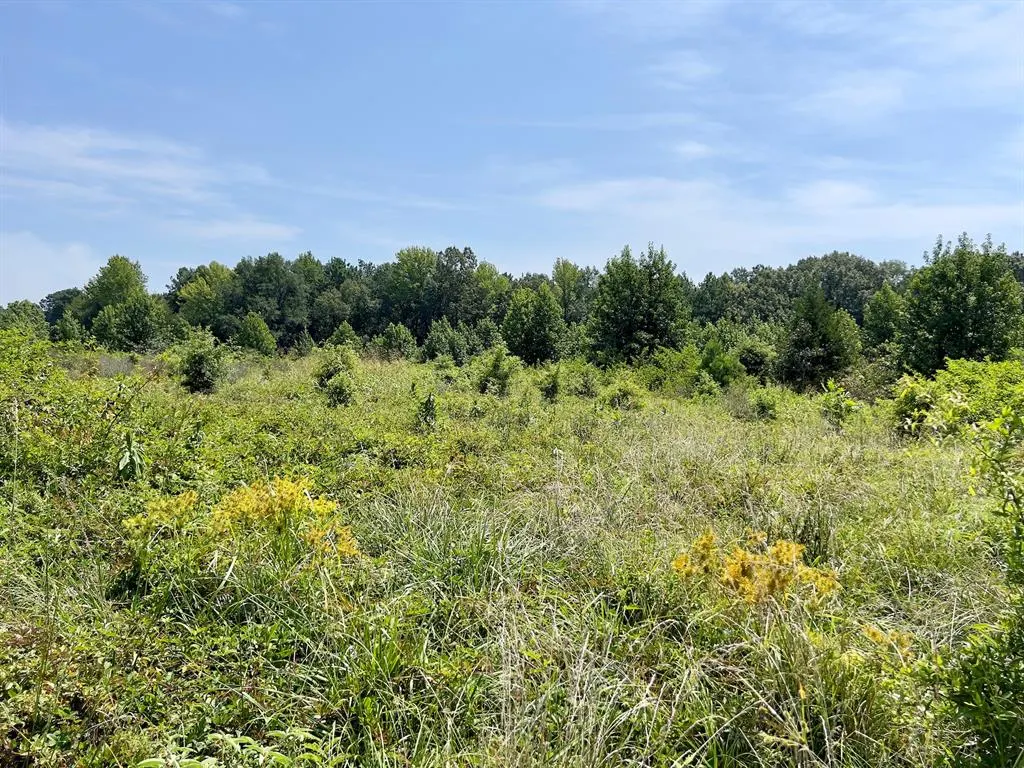 Photo 12 — 80 Sand Road, Haworth, OK 74740