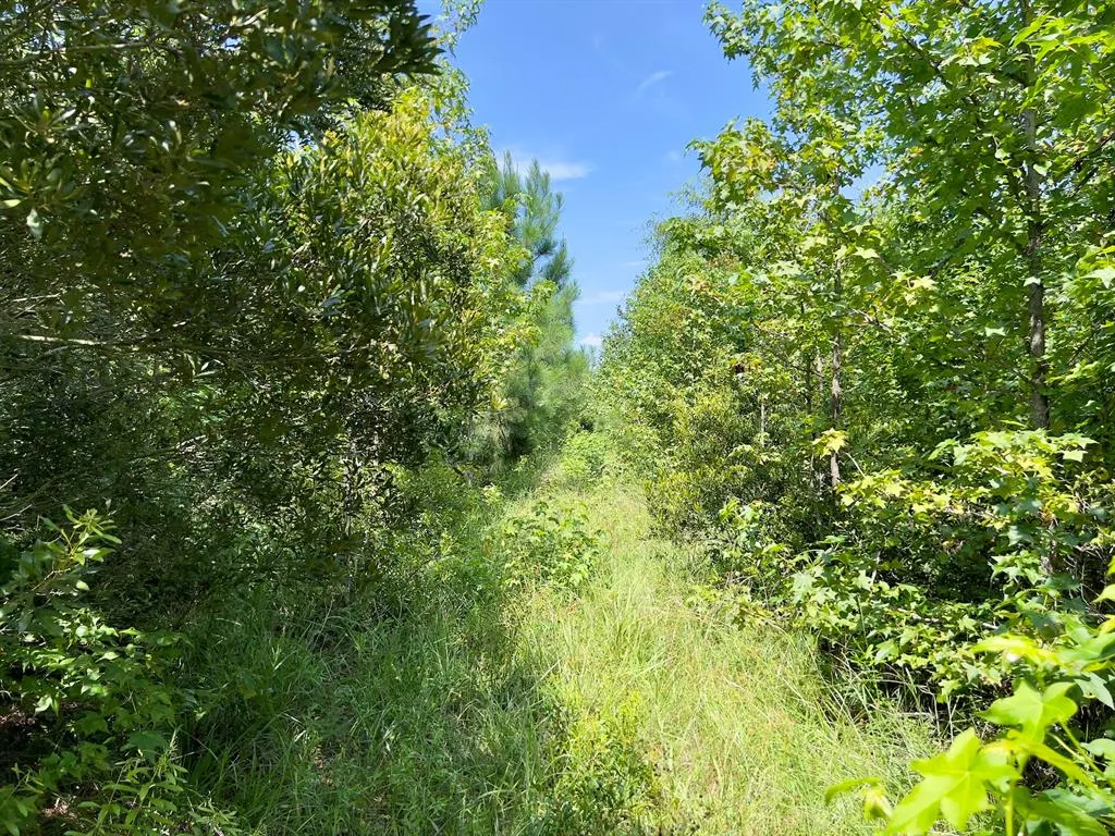 Photo 13 — 80 Sand Road, Haworth, OK 74740