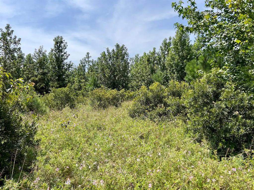 Photo 14 — 80 Sand Road, Haworth, OK 74740