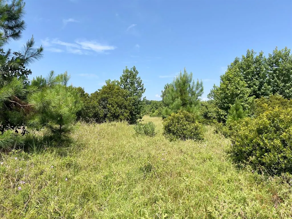 Photo 15 — 80 Sand Road, Haworth, OK 74740