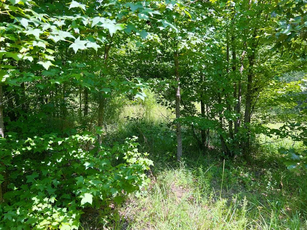 Photo 16 — 80 Sand Road, Haworth, OK 74740