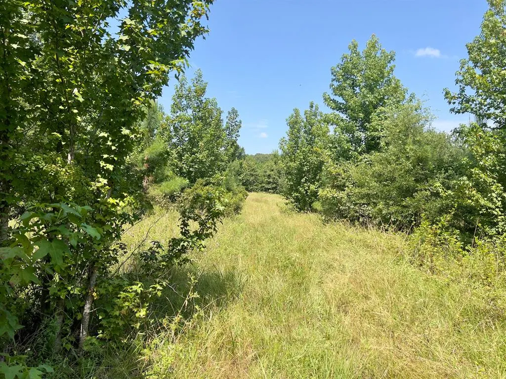 Photo 17 — 80 Sand Road, Haworth, OK 74740