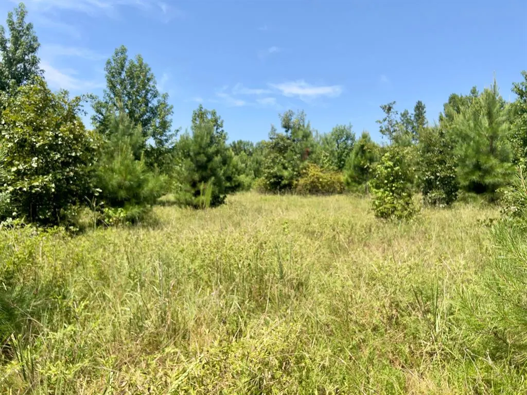 Photo 18 — 80 Sand Road, Haworth, OK 74740