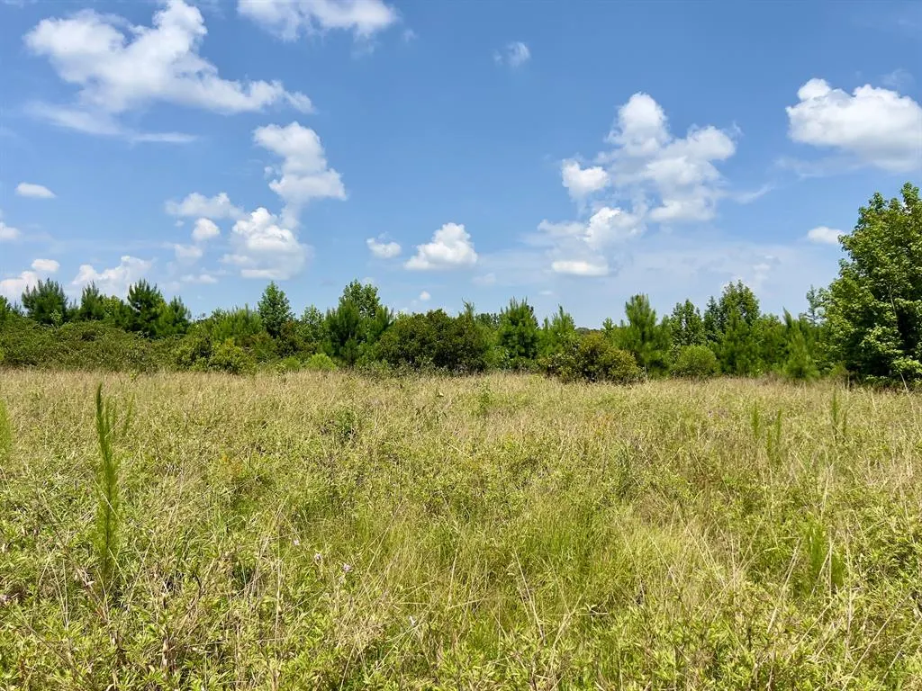 Photo 19 — 80 Sand Road, Haworth, OK 74740